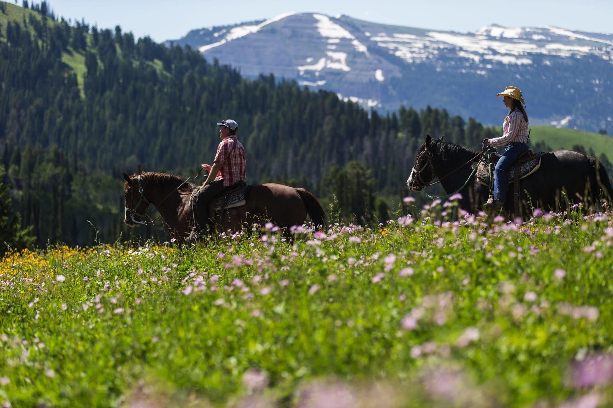 Alta Sioux Lodge By Grand Targhee Resort מראה חיצוני תמונה